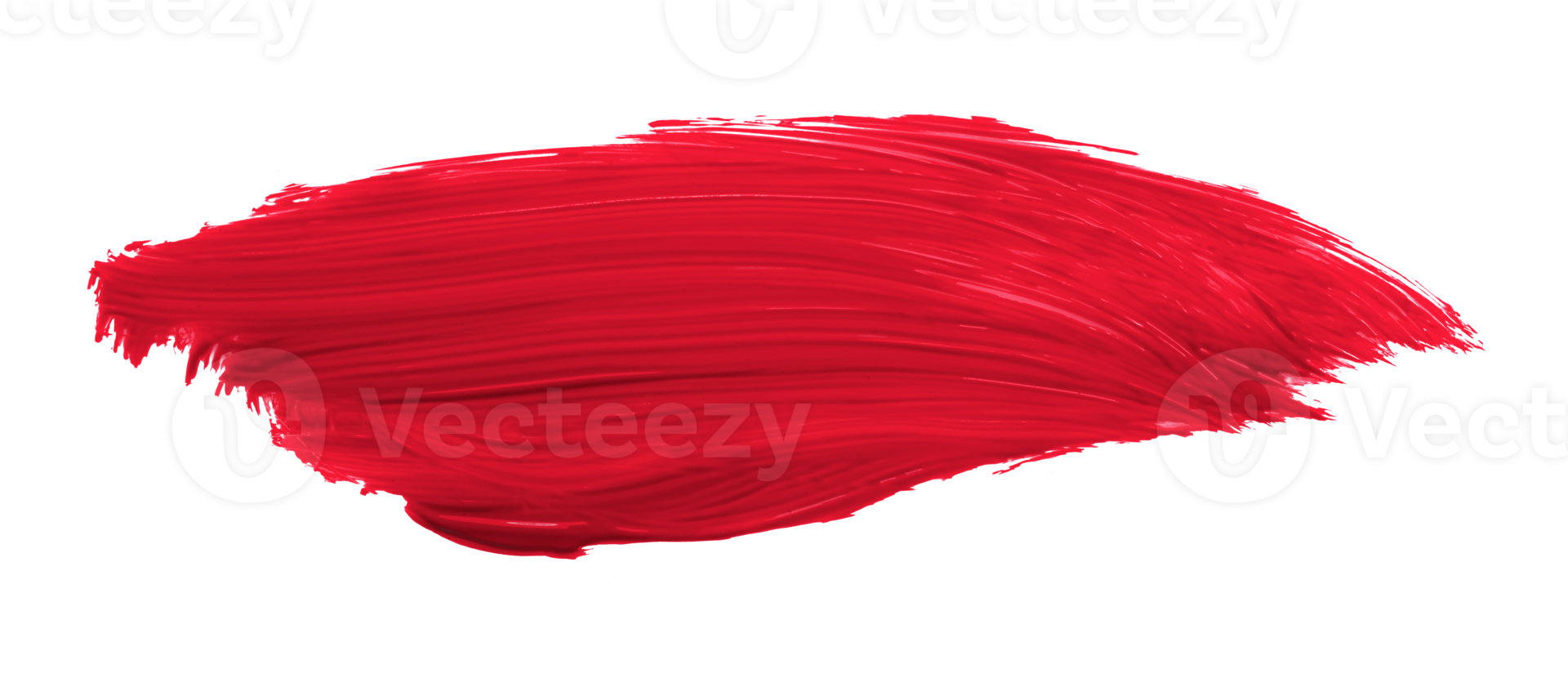 Ruddy brush isolated on transparent background, Scarlet Sage red brush, png