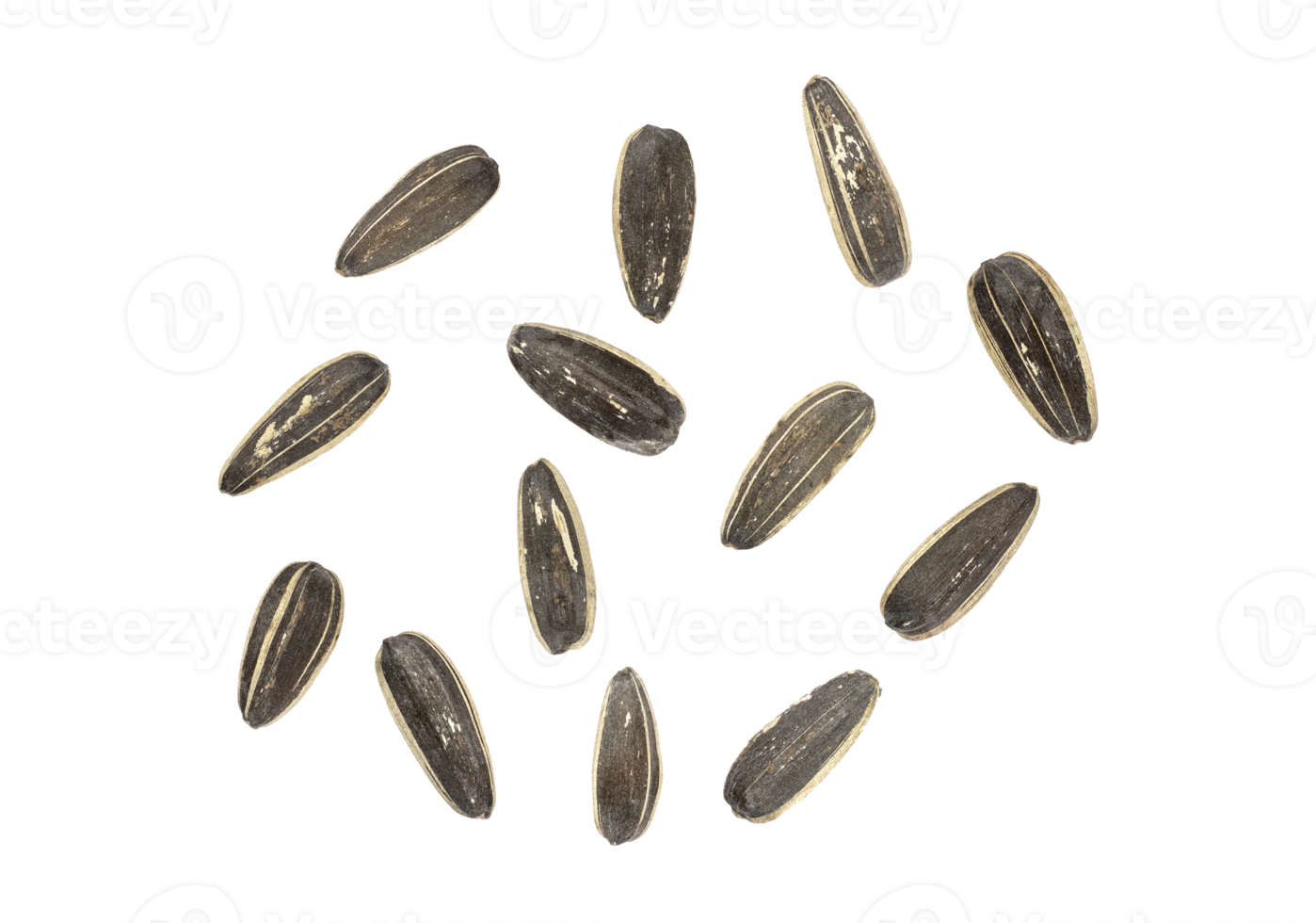 girasol semillas aislado en un transparente fondo.png png