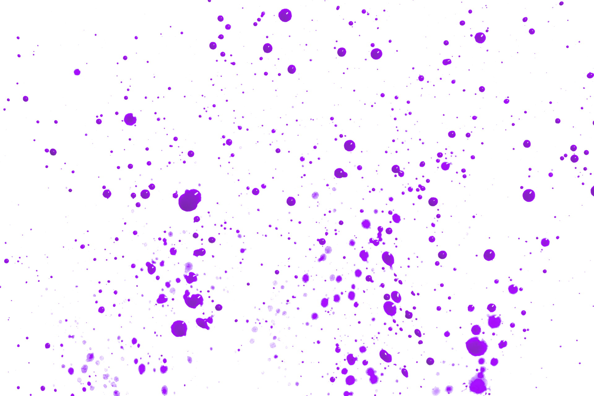 shiny purple brush isolated on transparent background purple watercolor
