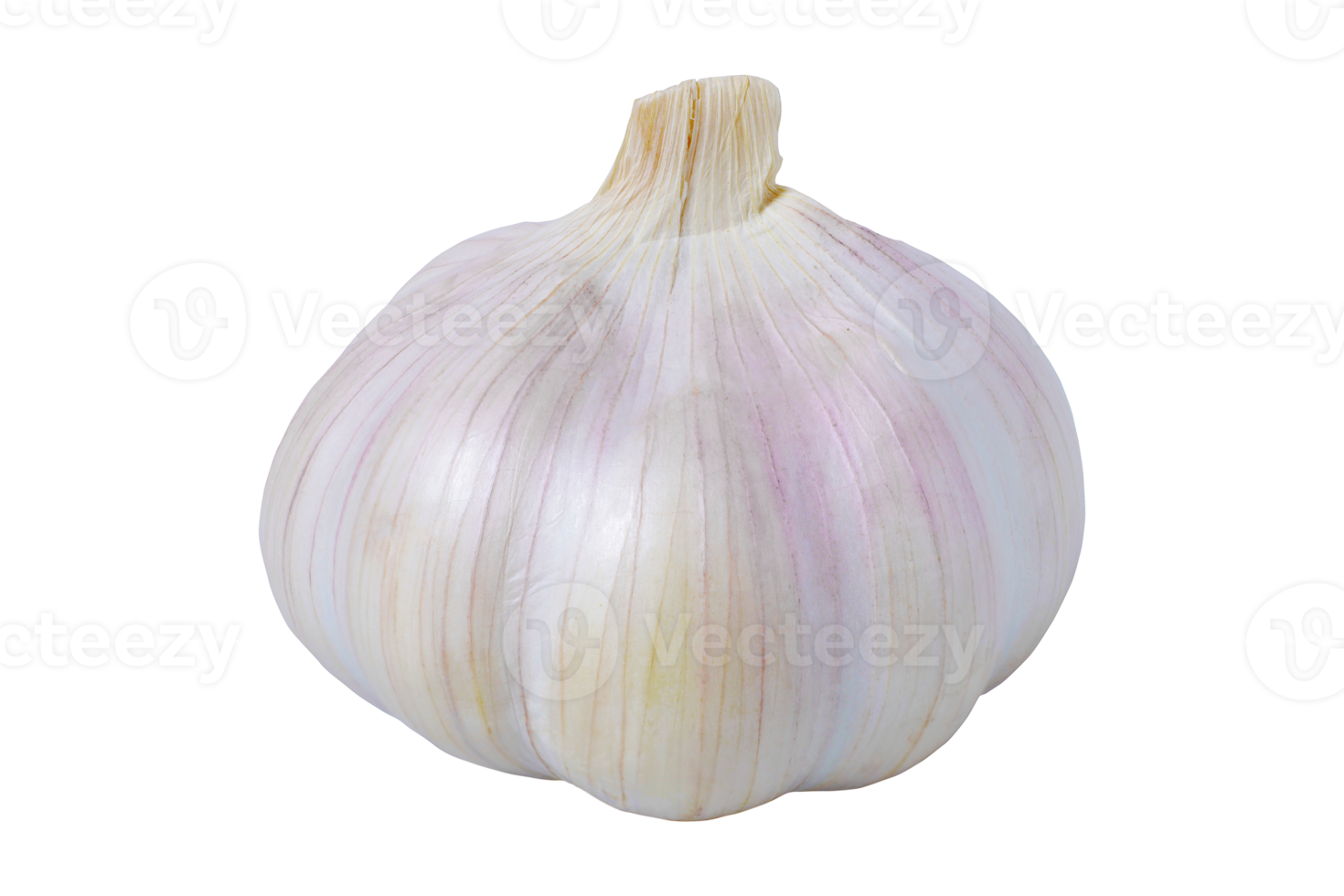 garlic isolated on a transparent background.png png