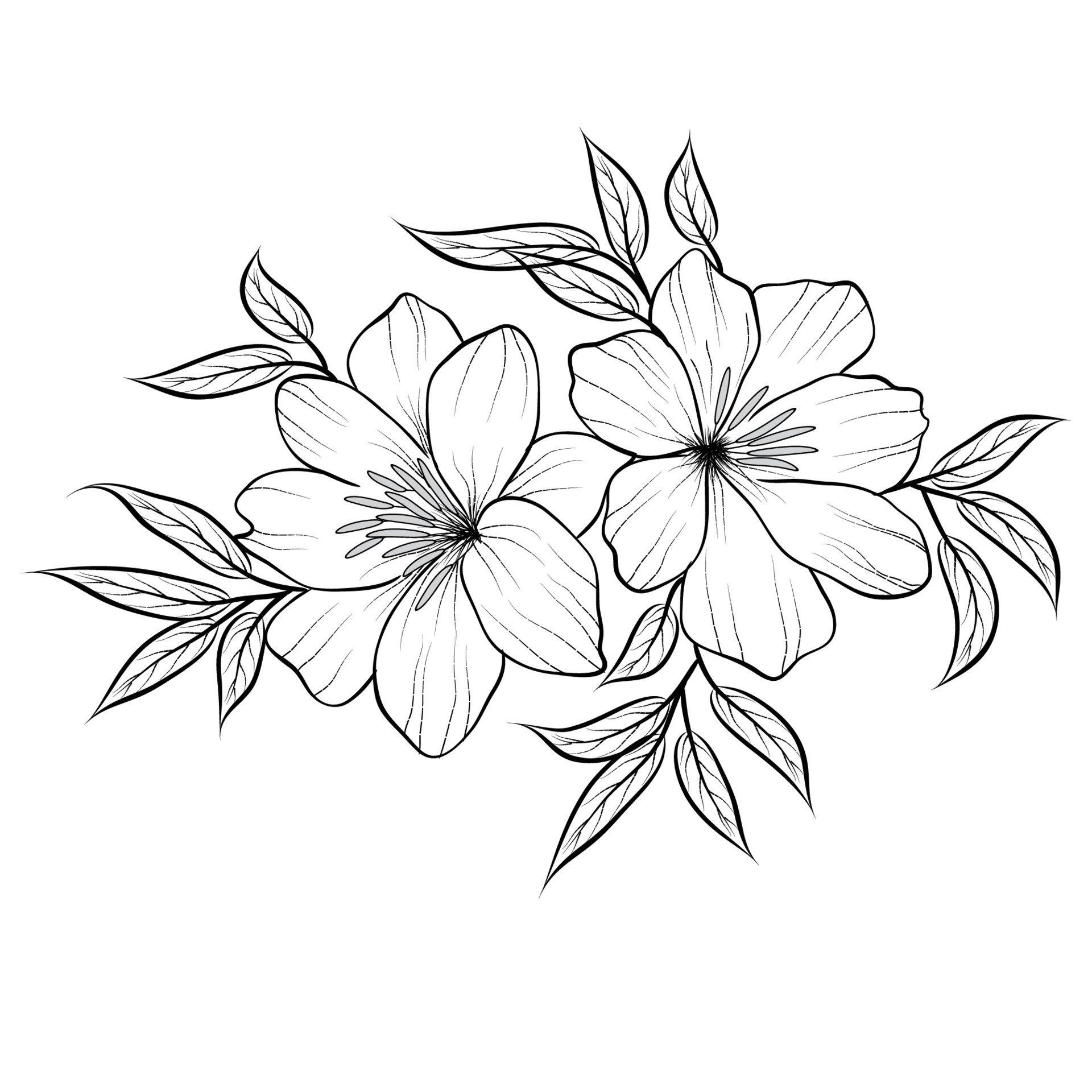 Free Vector line art and hand drawing flower art black and white flat ...