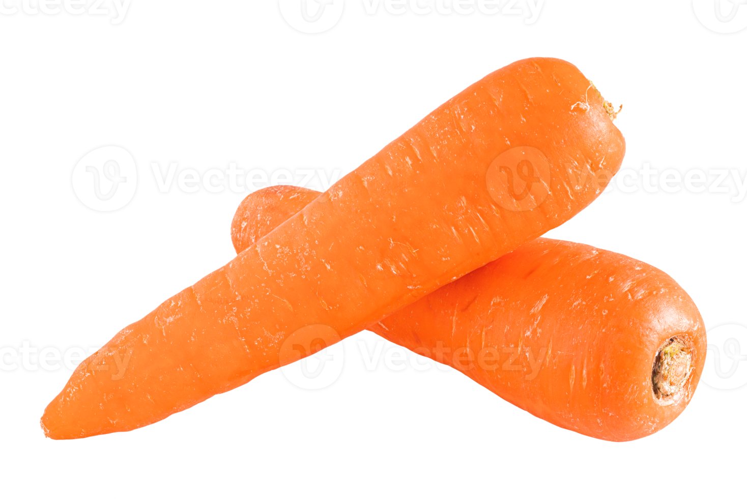 Fresh carrot isolated on transparent background.png 22804829 PNG