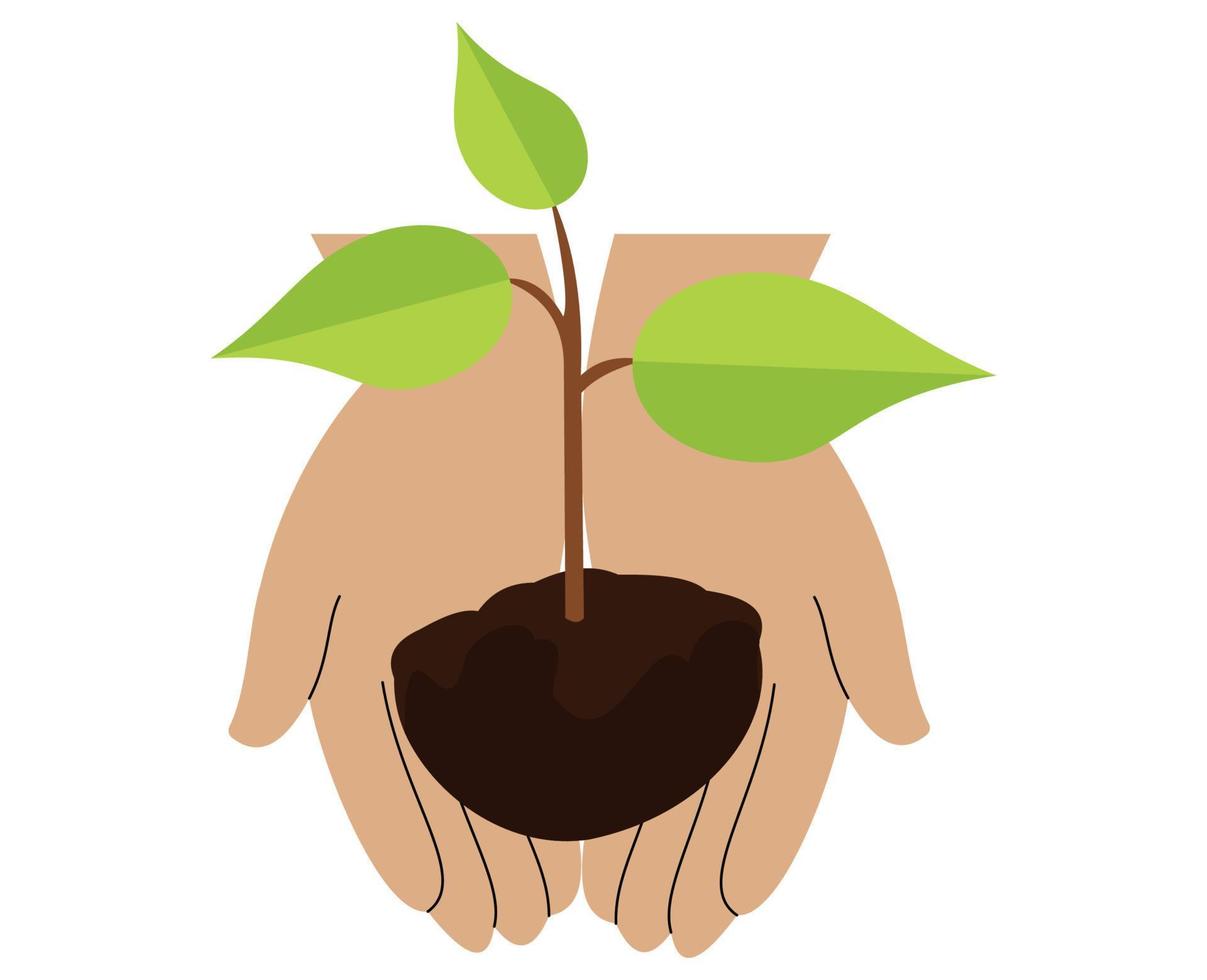 hand holding plant seed. illustration of planting plant seeds vector