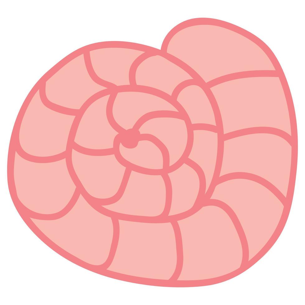 Cute hand drawn seashell. White background, isolate. Vector illustration.