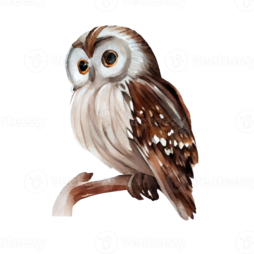 Vintage Watercolor owl . AI Generated png