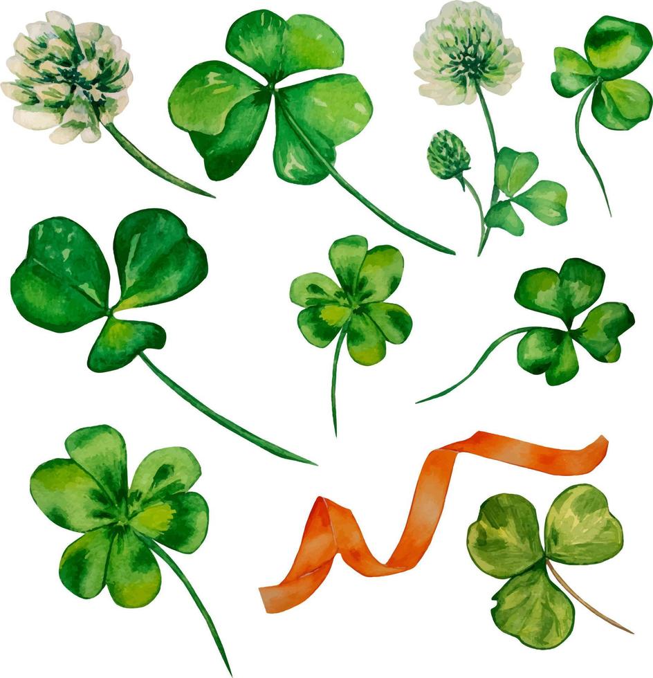 Shamrock and clover watercolor set on white background vector