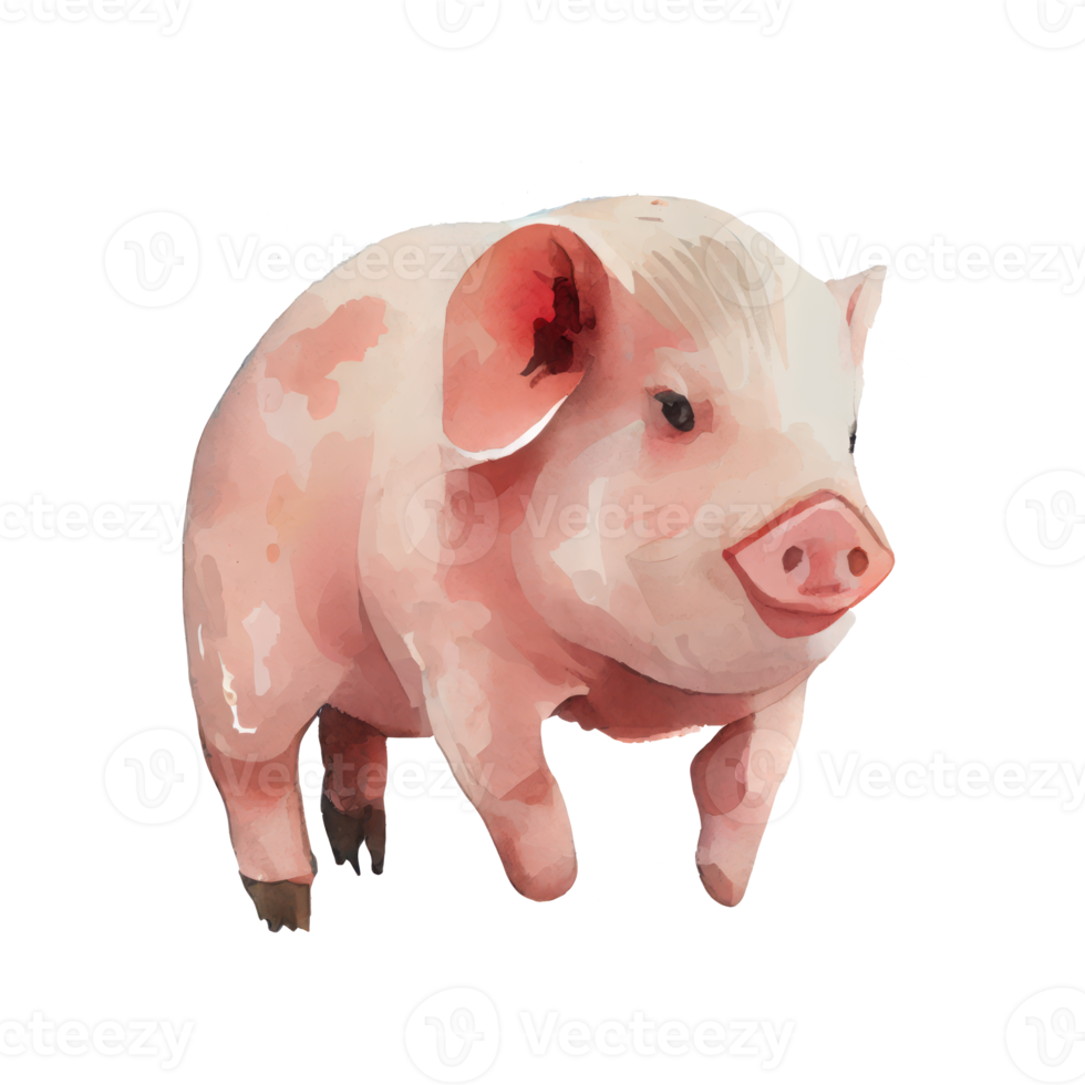 Watercolor Pig . AI Generated png