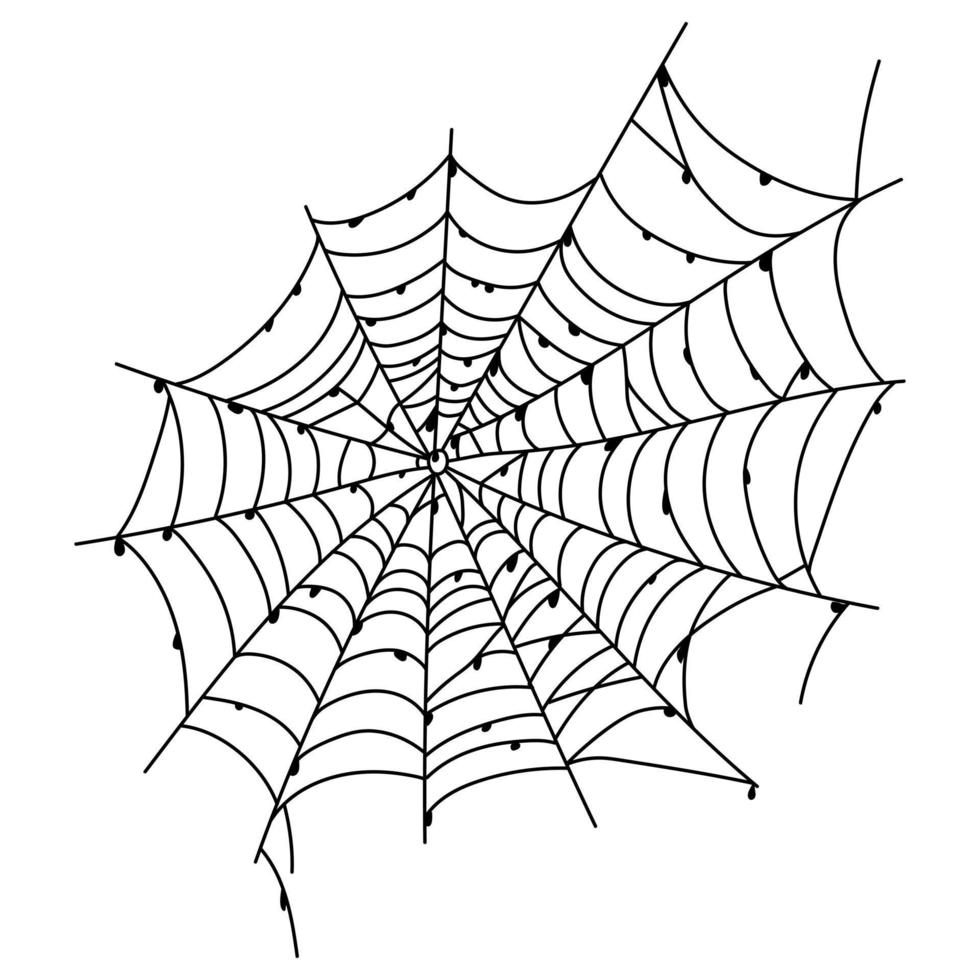 Scary spider web isolated. Spooky Halloween decoration. Outline cobweb illustration vector