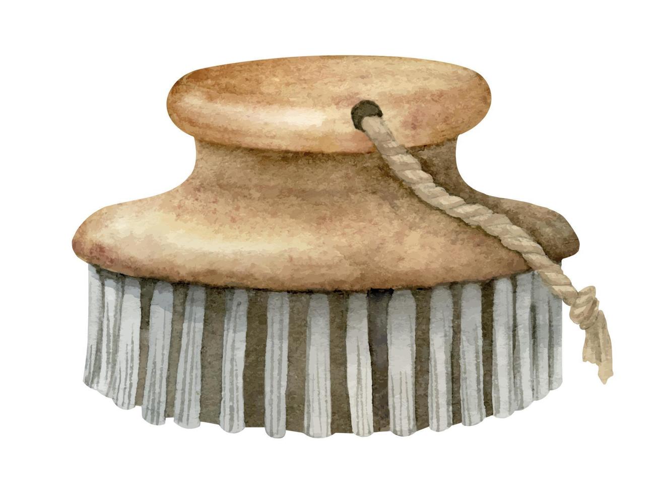 Wooden soft body Brush watercolor illustration. Hand drawn illustration of cosmetic accessory for dry scrub or skin care on isolated background. Element for design of a spa salon. Natural equipment vector