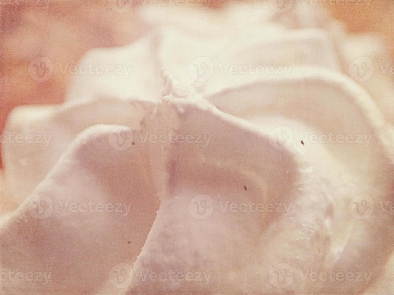 small appetizing white meringues on a plate in close-up photo