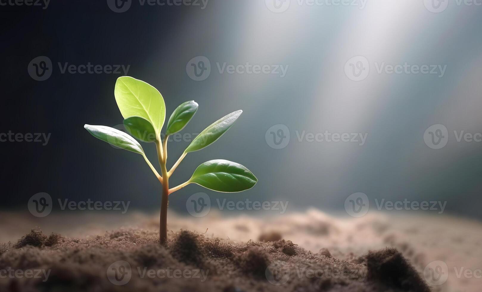el planta de semillero son creciente desde el Rico suelo a el Mañana luz de sol ese es brillante, ecología concepto. generativo ai contenido, foto