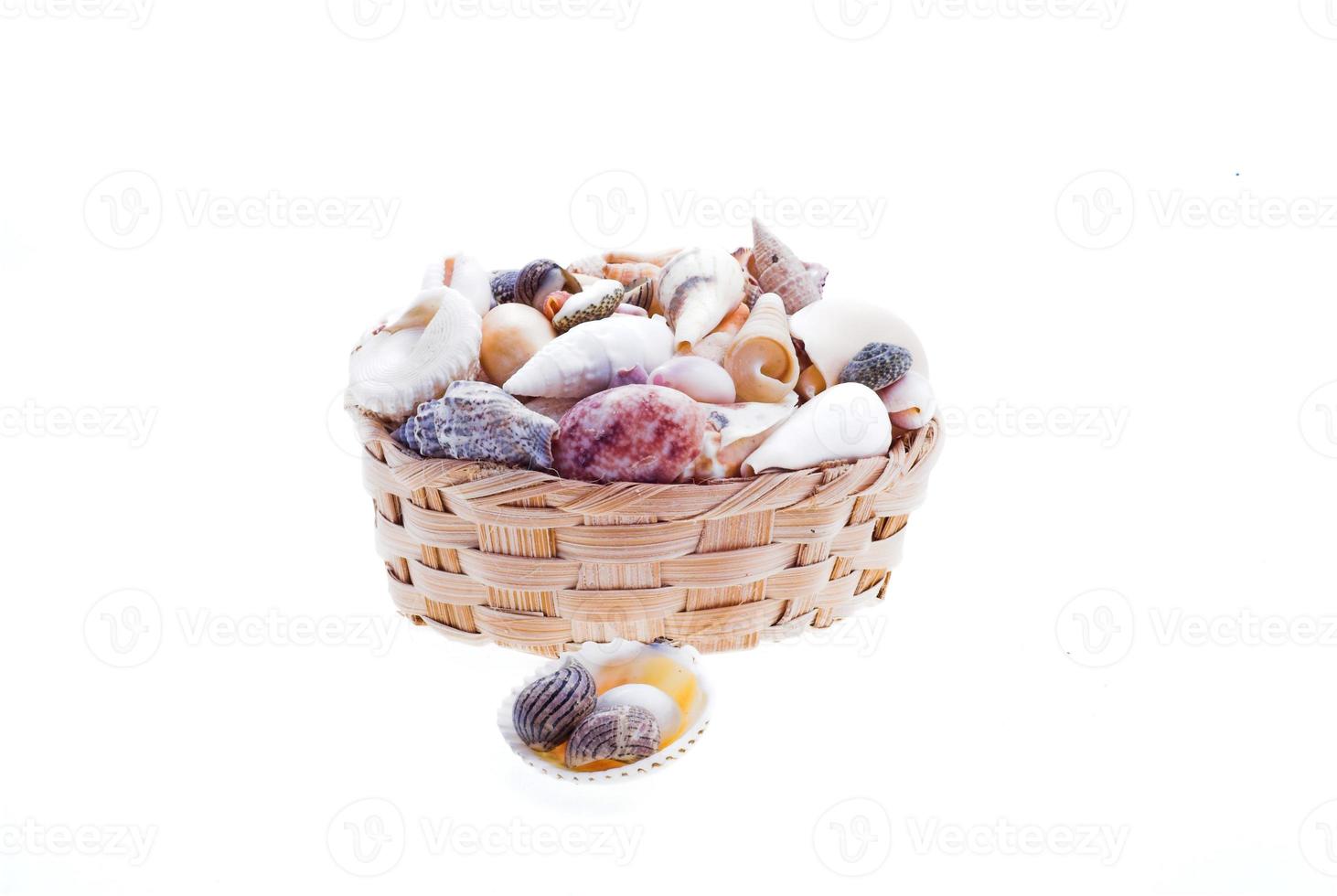 cesta con conchas marinas en un blanco antecedentes foto