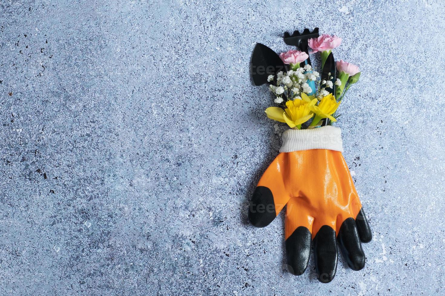 Protective gardening glove with hand tools and flowers with copy space. Gardening, planting still life concept. Flat lay, top view photo