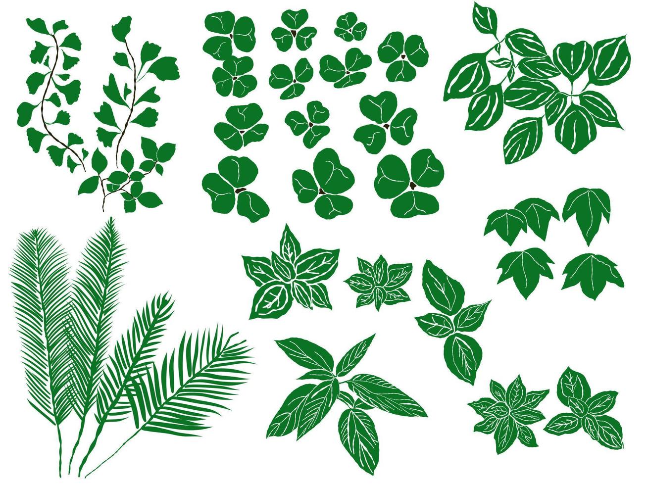 Set Bundle Leaf collection green Silhouette Foliage vector