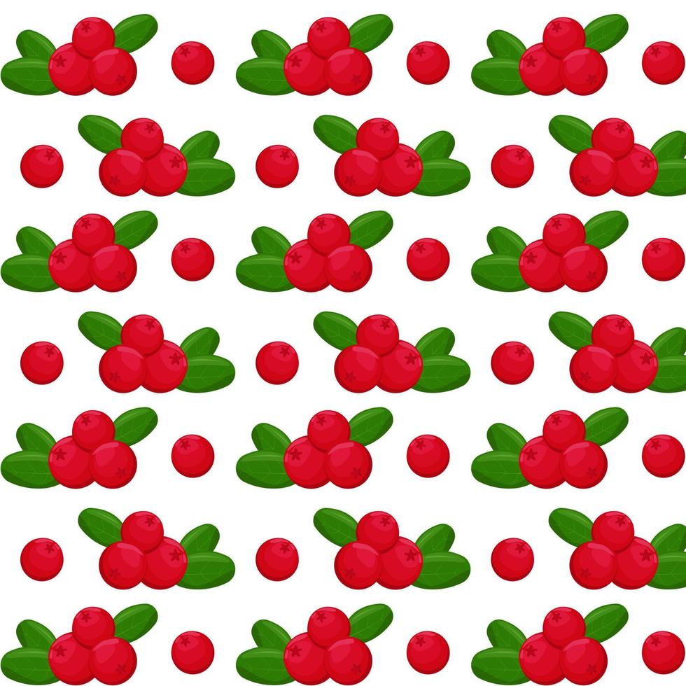 Cranberry with green leaves seamless pattern.For your design, pattern, badge, label, textile etc. Summer fruits for healthy lifestyle. Organic fruit. Cartoon style. Vector illustration