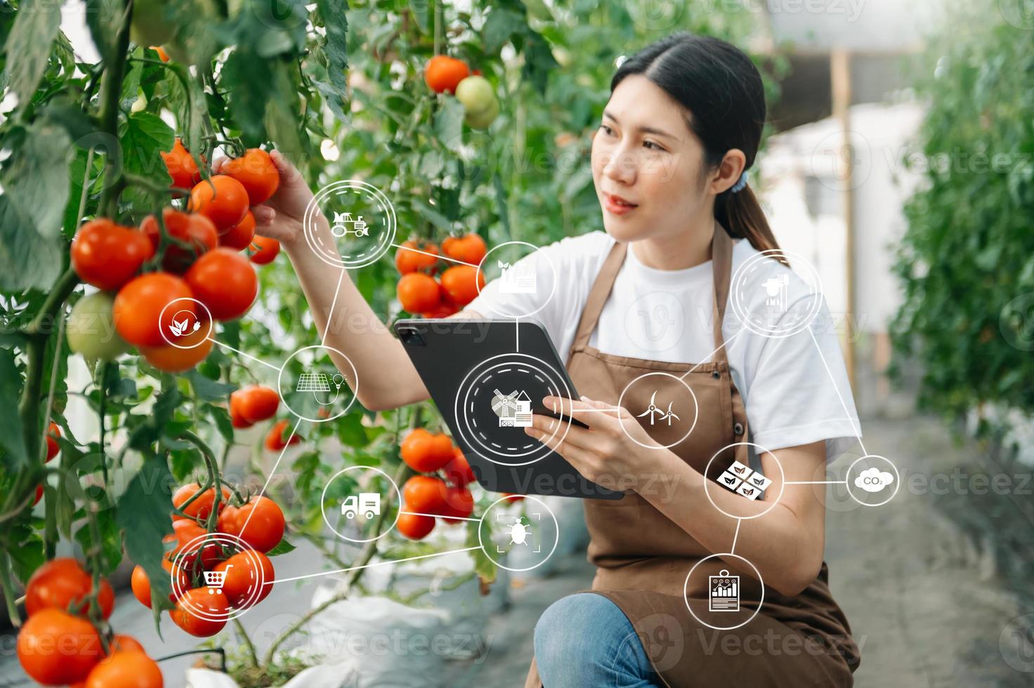 Agriculture uses production control tablets to monitor quality vegetables and tomato at greenhouse. Smart farmer with vr icon photo