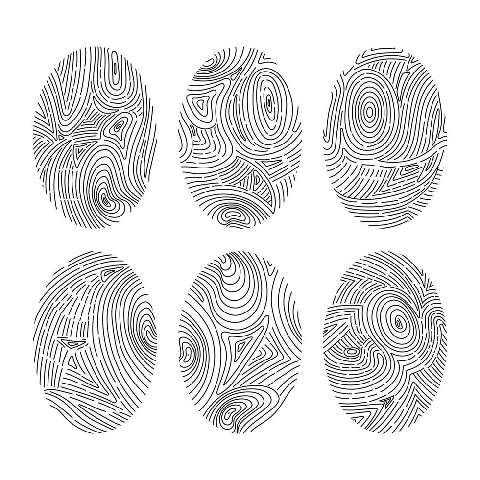 Set of vector fingerprints. Human biometric fingerprints, unique thumb line prints.