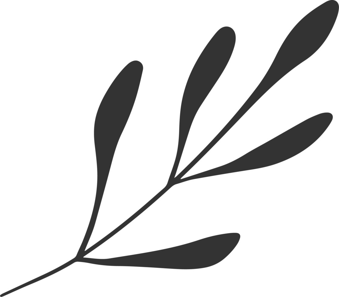 Hand drawn Abstract Leaf and Branch png