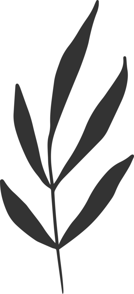 Hand drawn Abstract Leaf and Branch png