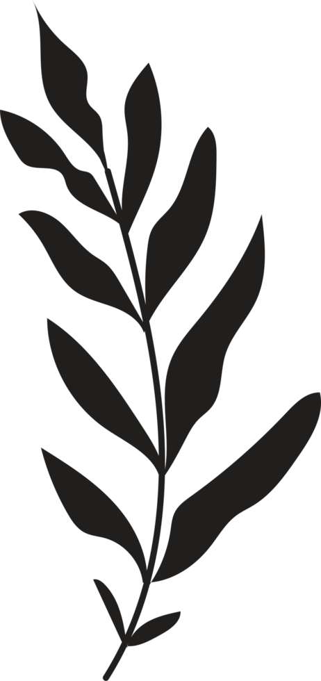 Hand drawn Abstract Leaf and Branch png