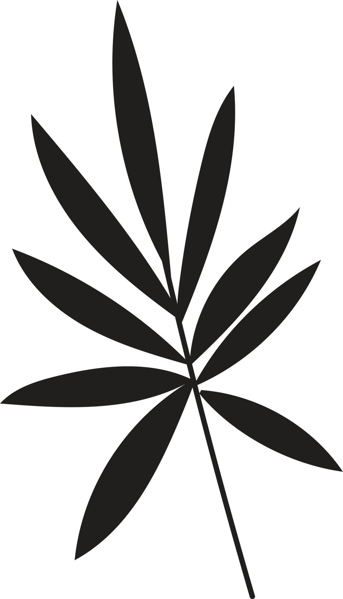 Hand drawn Abstract Leaf and Branch 22811995 PNG