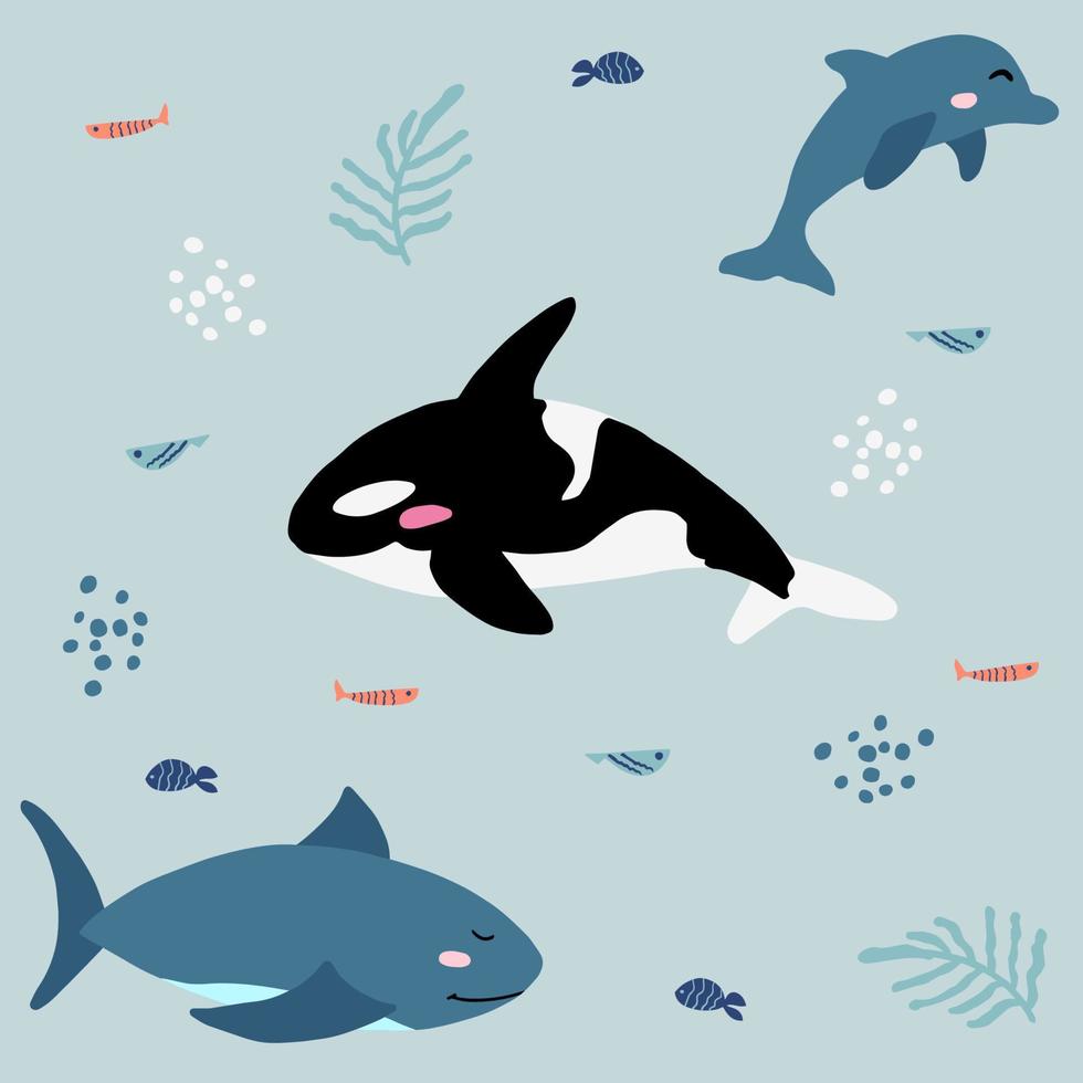 Cute marine background with orca, dolphins and shark. Blue pattern illustration of ocean animals for children. Sea theme wallpaper for decoration with fish and bubbles. vector