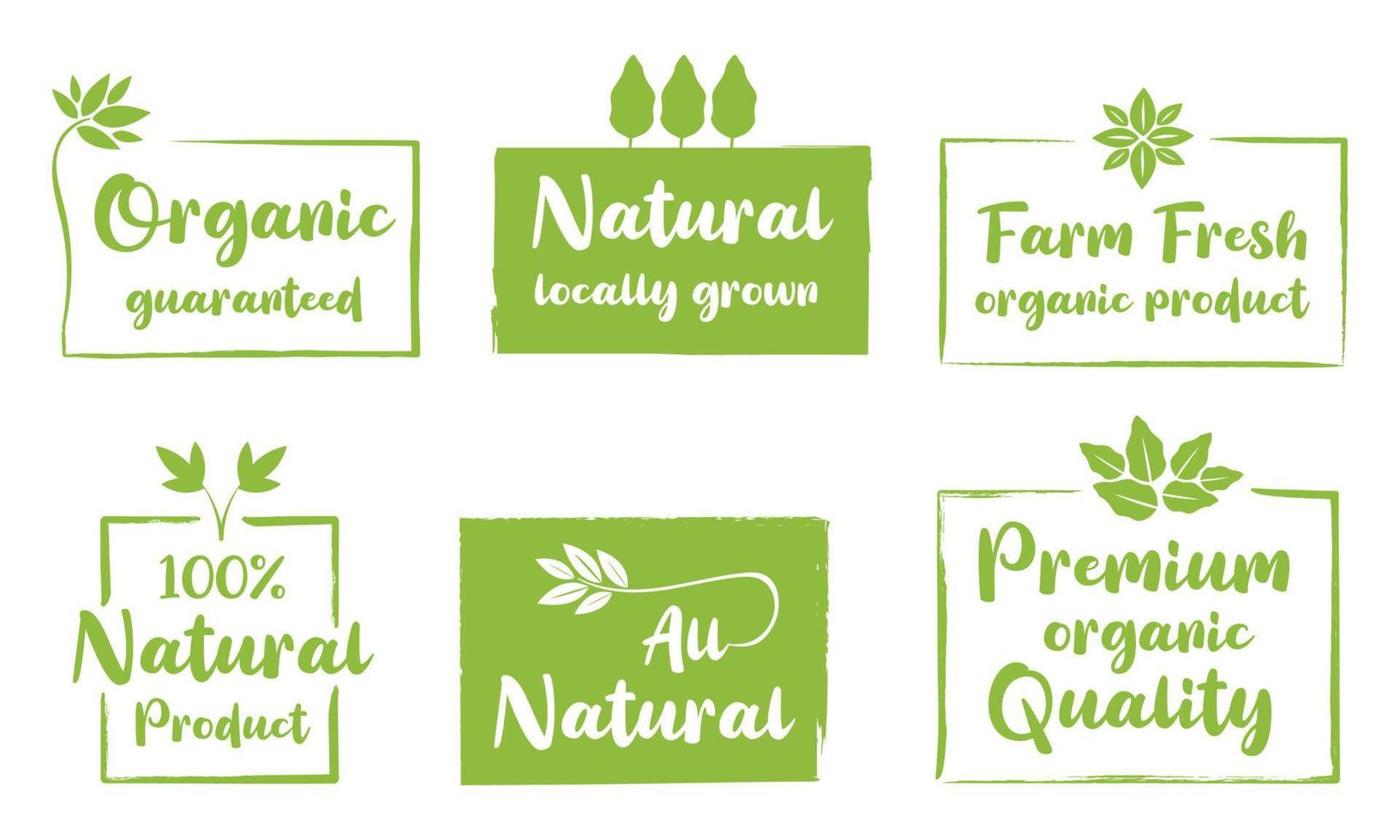 Organic food, natural product, healthy life and farm fresh for food and drink promotion. vector