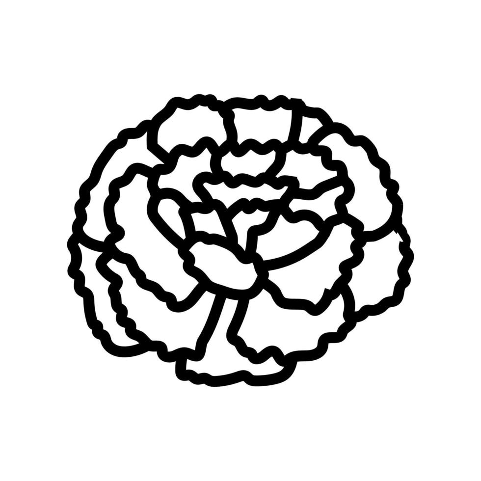 marigold blossom spring line icon vector illustration