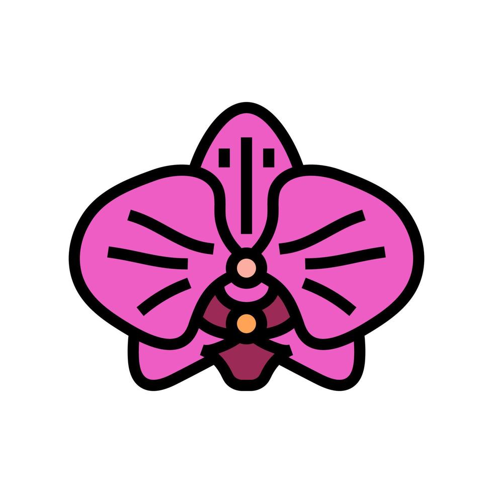 orchid blossom spring color icon vector illustration