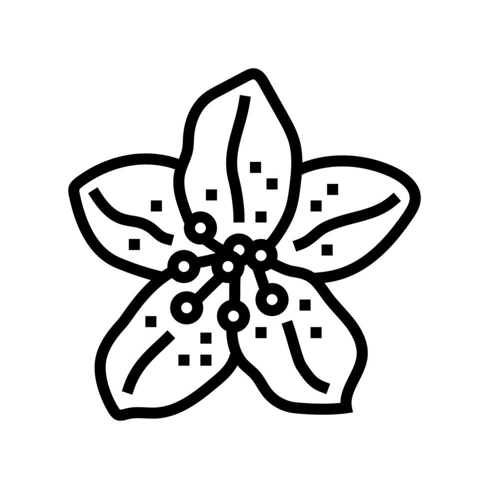 rhododendron flower spring line icon vector illustration