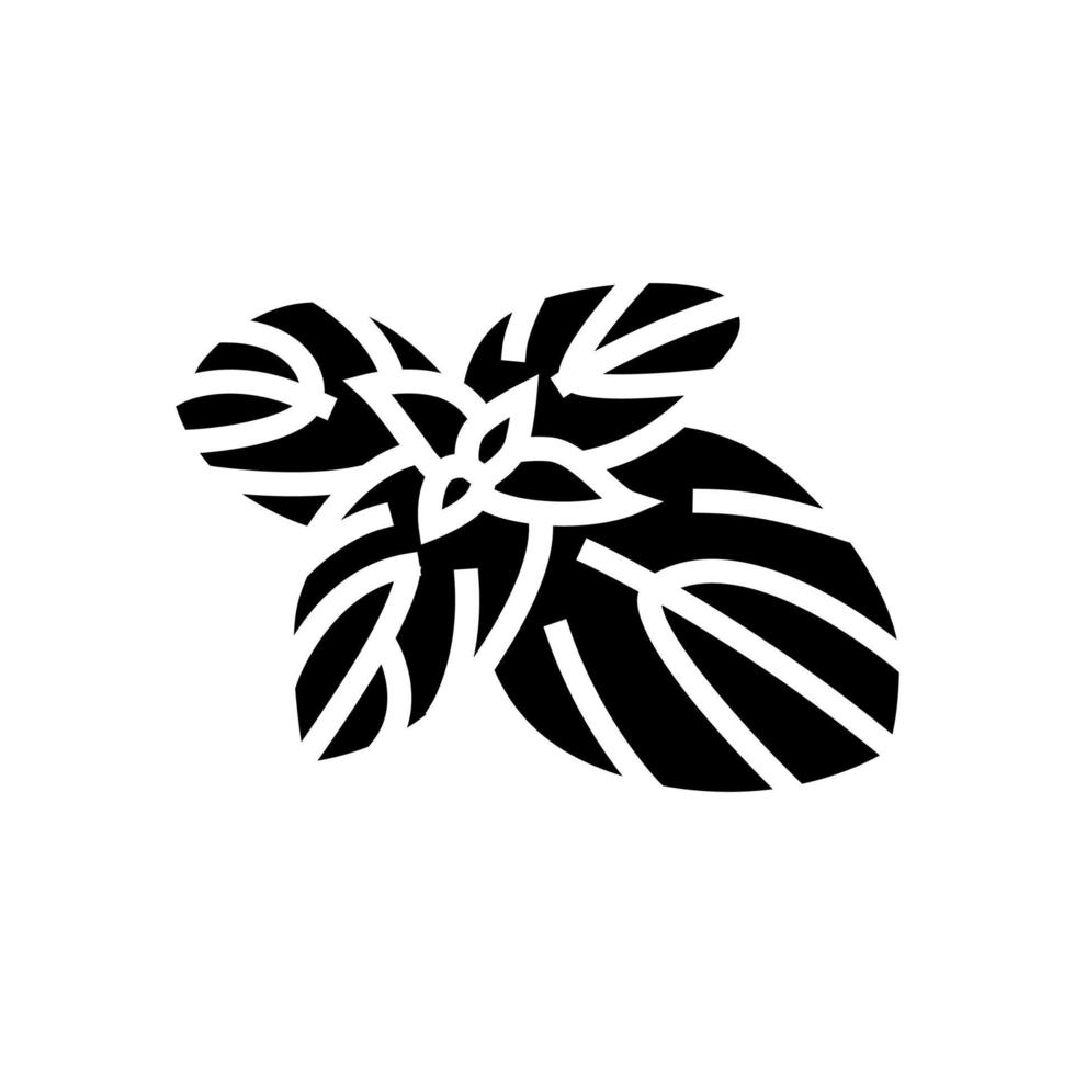 albahaca comida hierba glifo icono vector ilustración