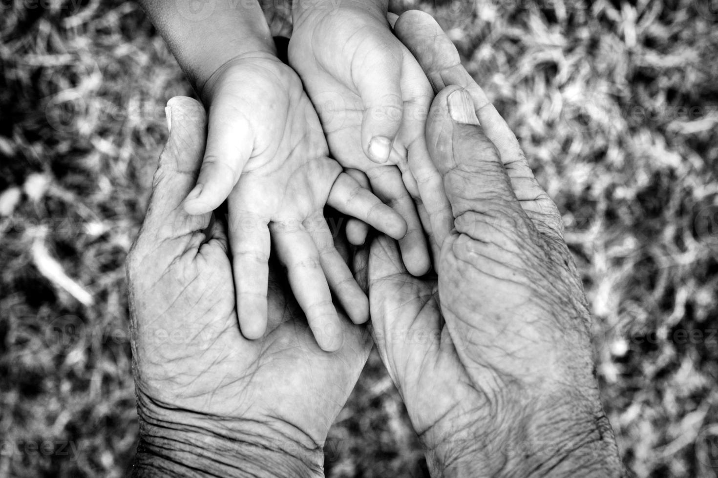 Young and old hands photo