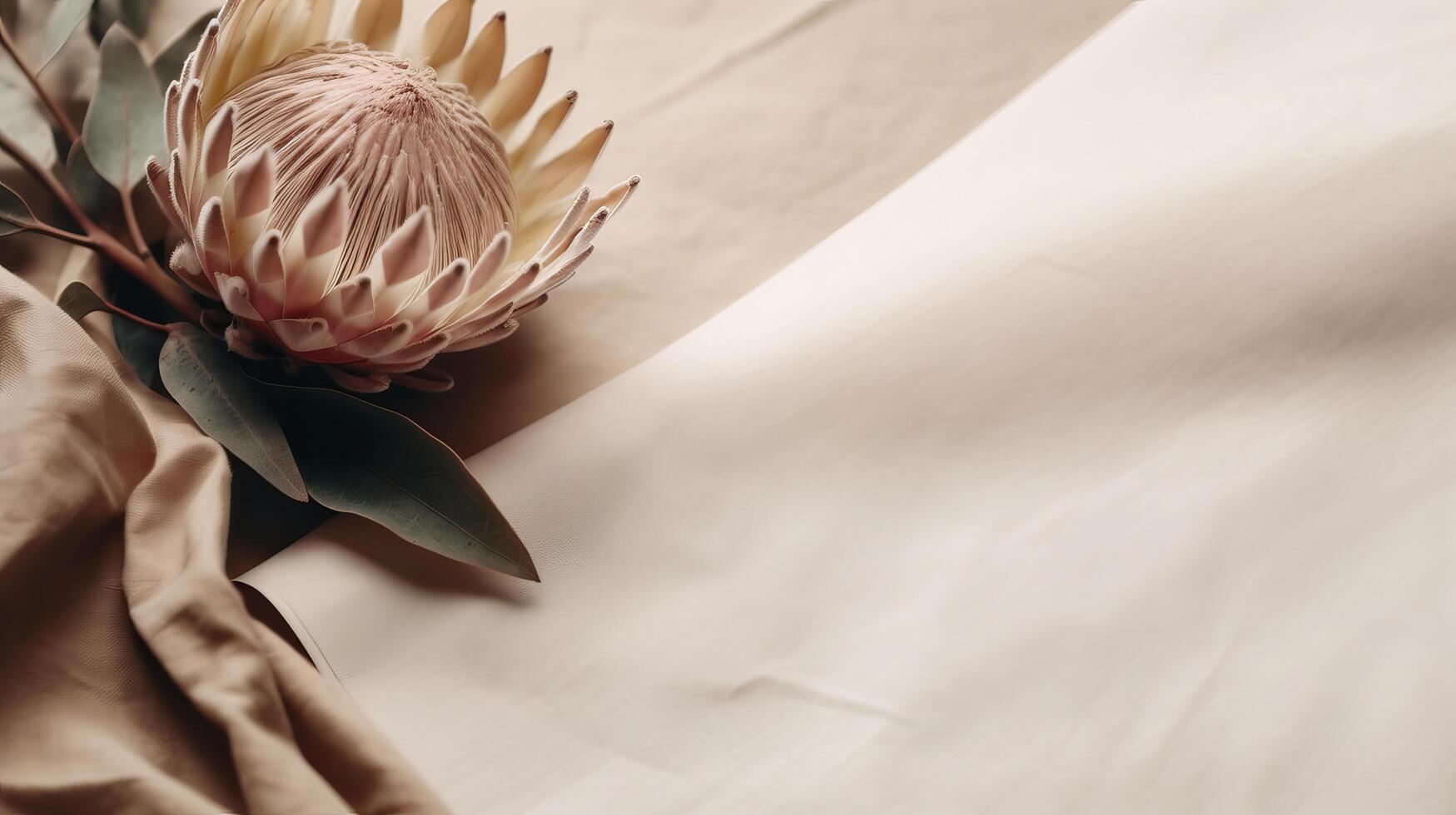 Dried protea flower with blank paper card. Luxury Background. Illustration photo