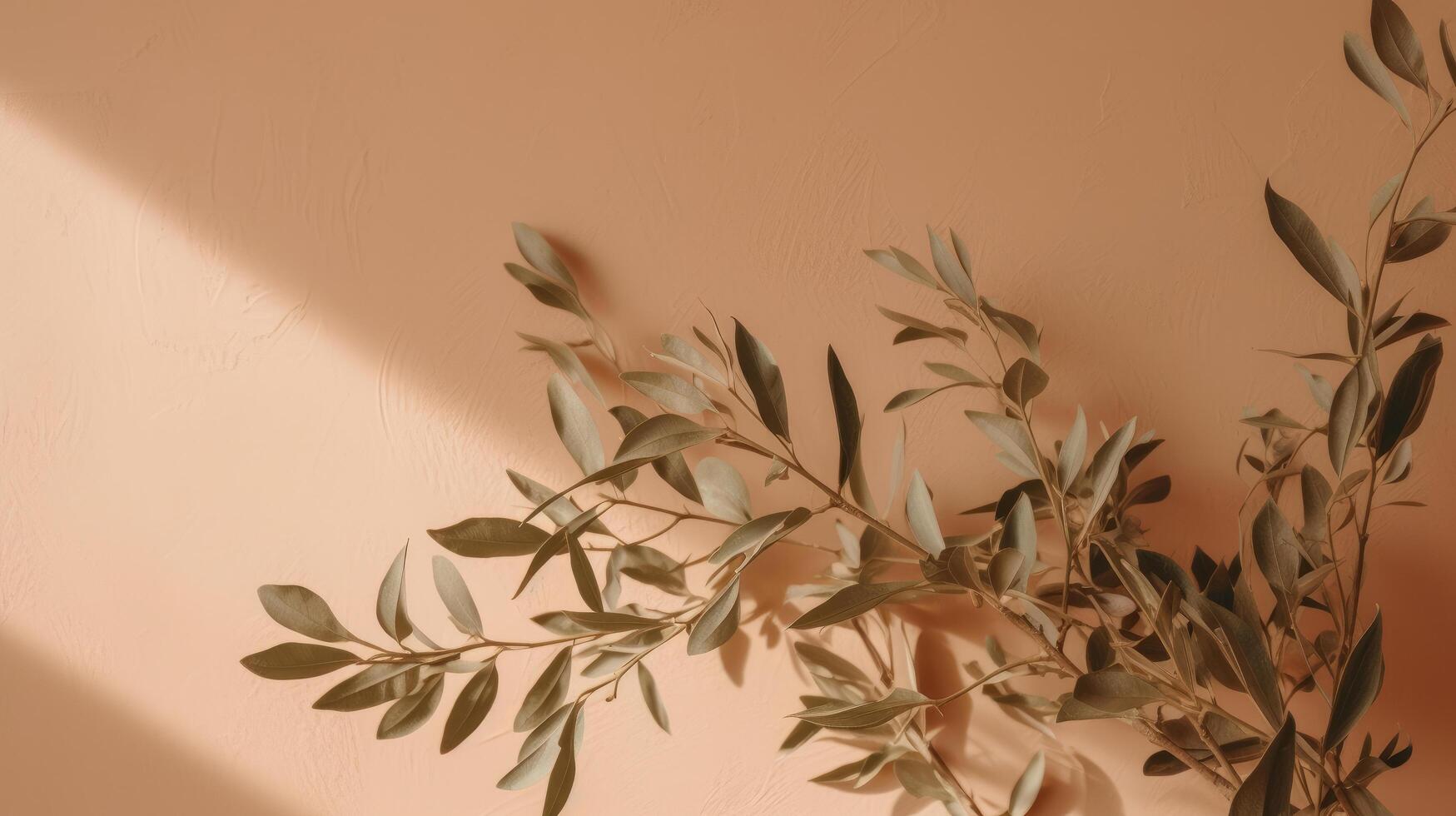 Olive branch leaves on beige background. Illustration photo