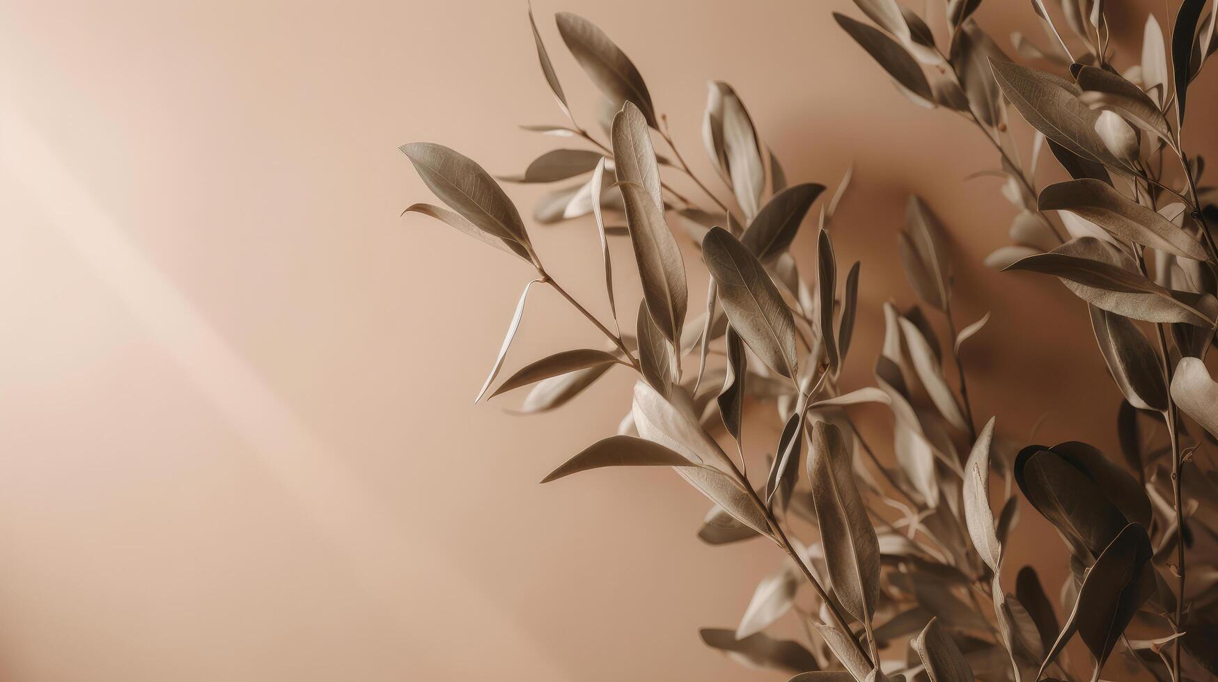 Olive branch leaves on beige background. Illustration photo