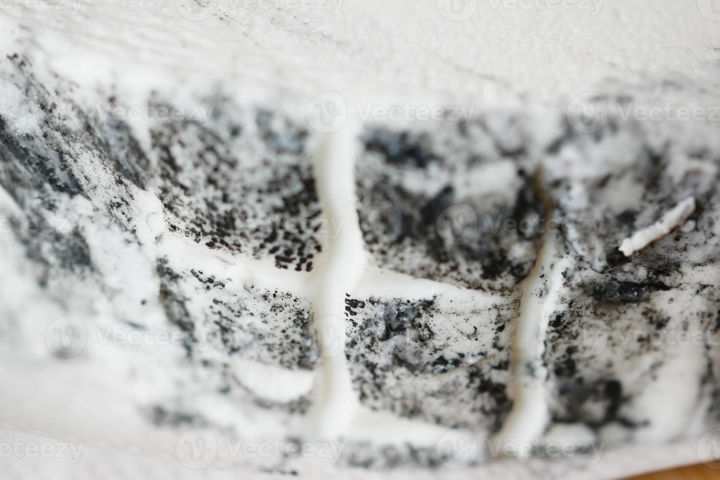 detail shot of fresh goat cheese photo