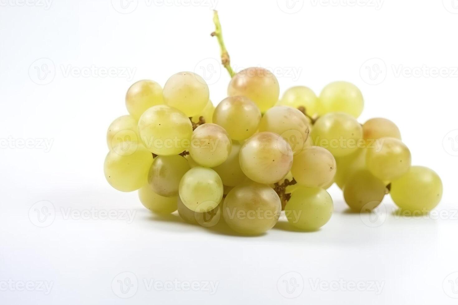 Vine of fresh green Muscat grapes, isolate on white background. Sprig of organic natural food. . photo