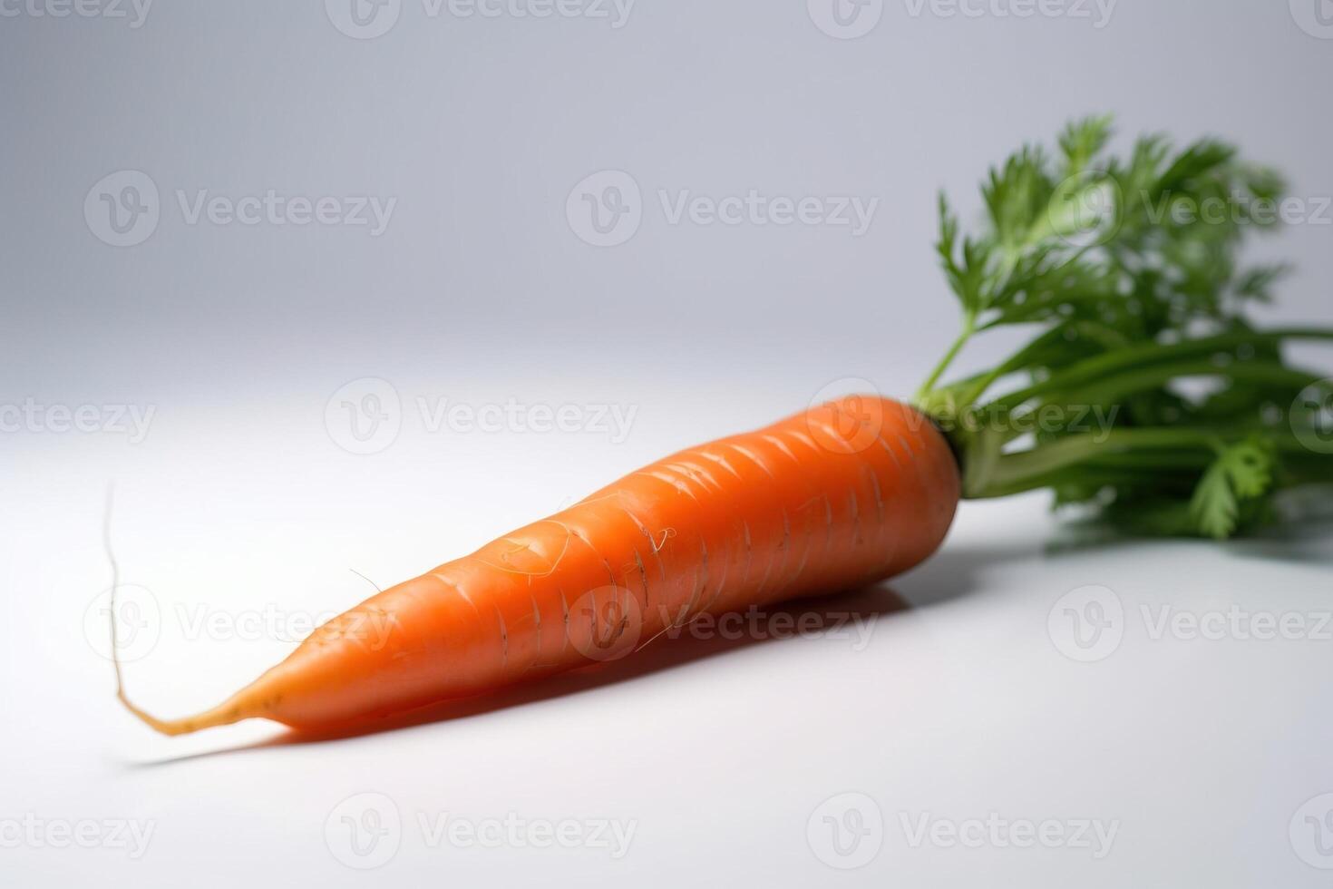 Fresh carrots with leaves, isolate on a white background. Macro studio shot. . photo