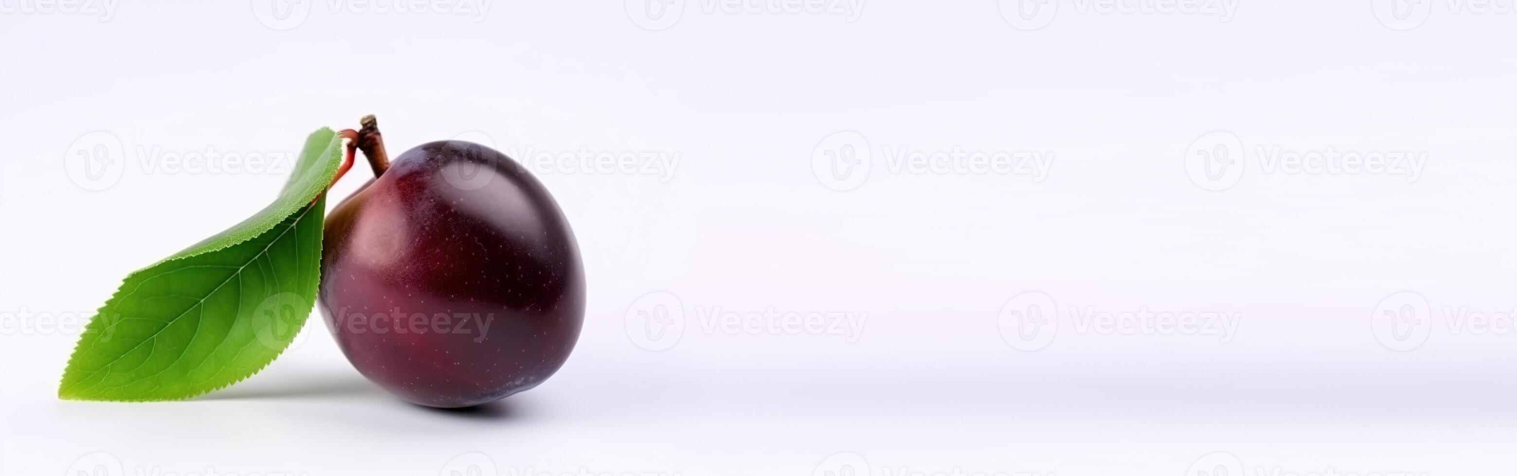 Fresh blue plum with leaf, isolate on white background. Macro studio shot. . Header banner mockup with space. photo