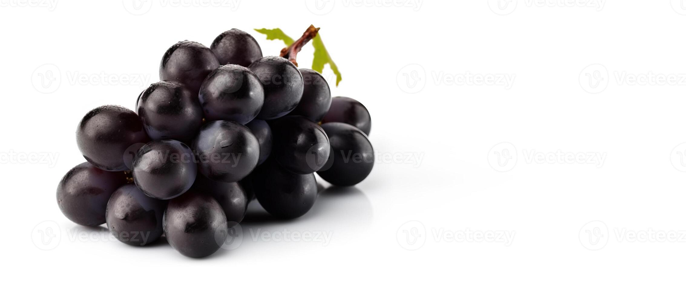 Vine of fresh blue Black Corinthian grapes, isolate on white background. Sprig of organic natural food. . Header banner mockup with space. photo