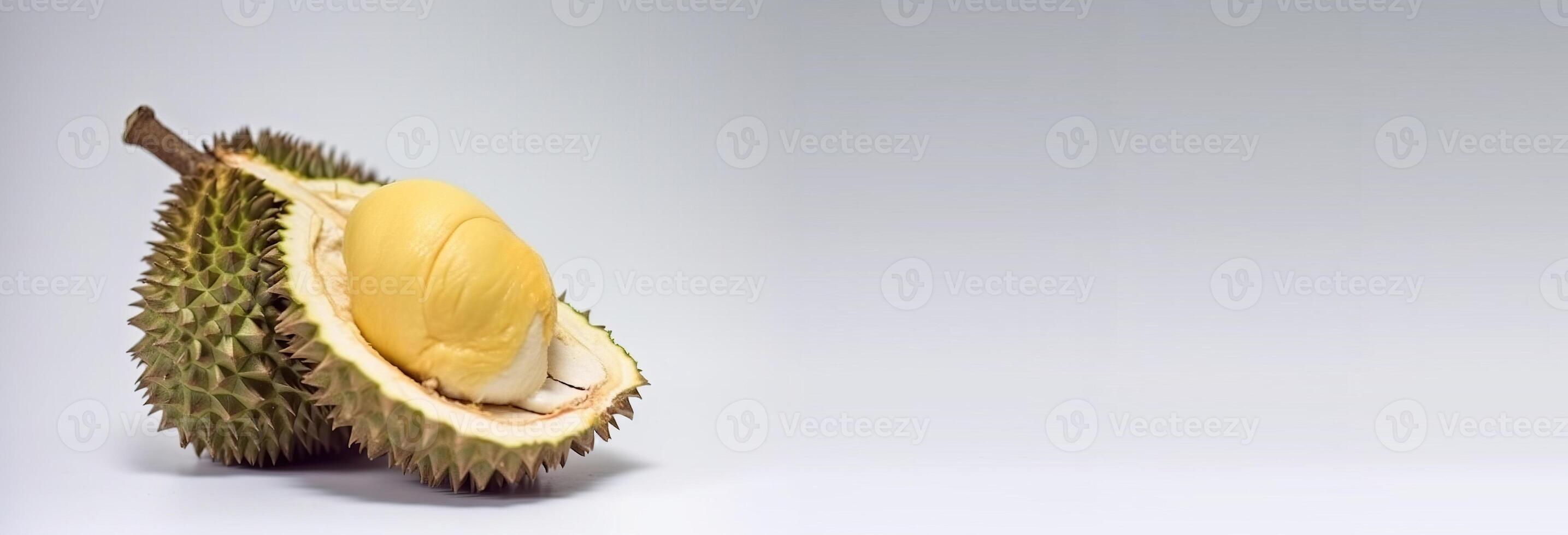 Fresh durian isolate on white background. Macro studio shot. . Header banner mockup with space. photo