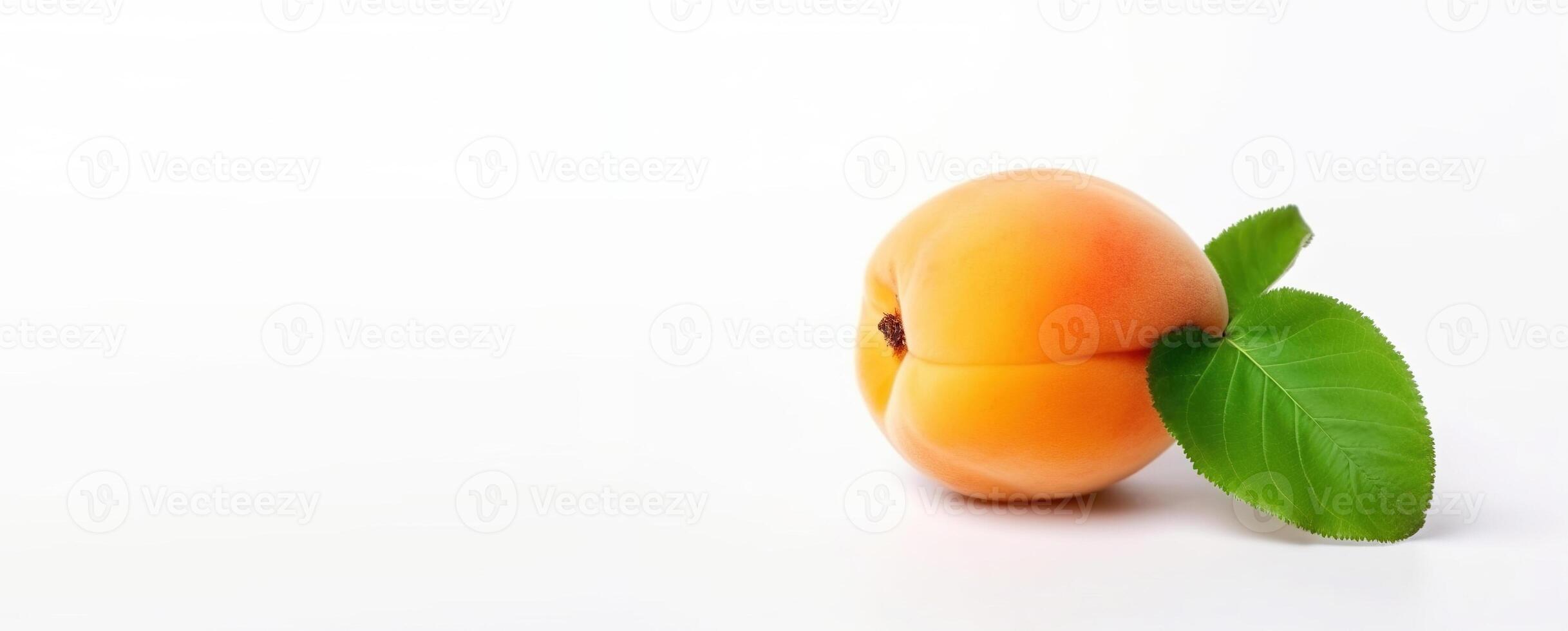 Isolated ripe fresh apricot with leaf on white background. Vitamin-rich fruit. Header banner mockup with space. . photo