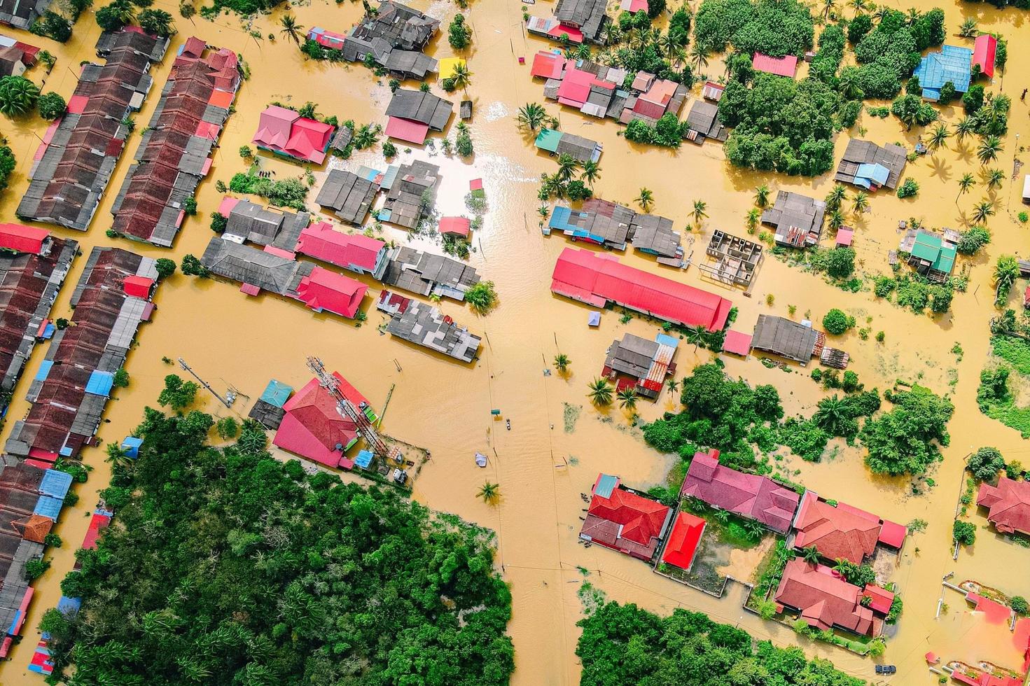 Devastating Flood 2022 Pakistan photo