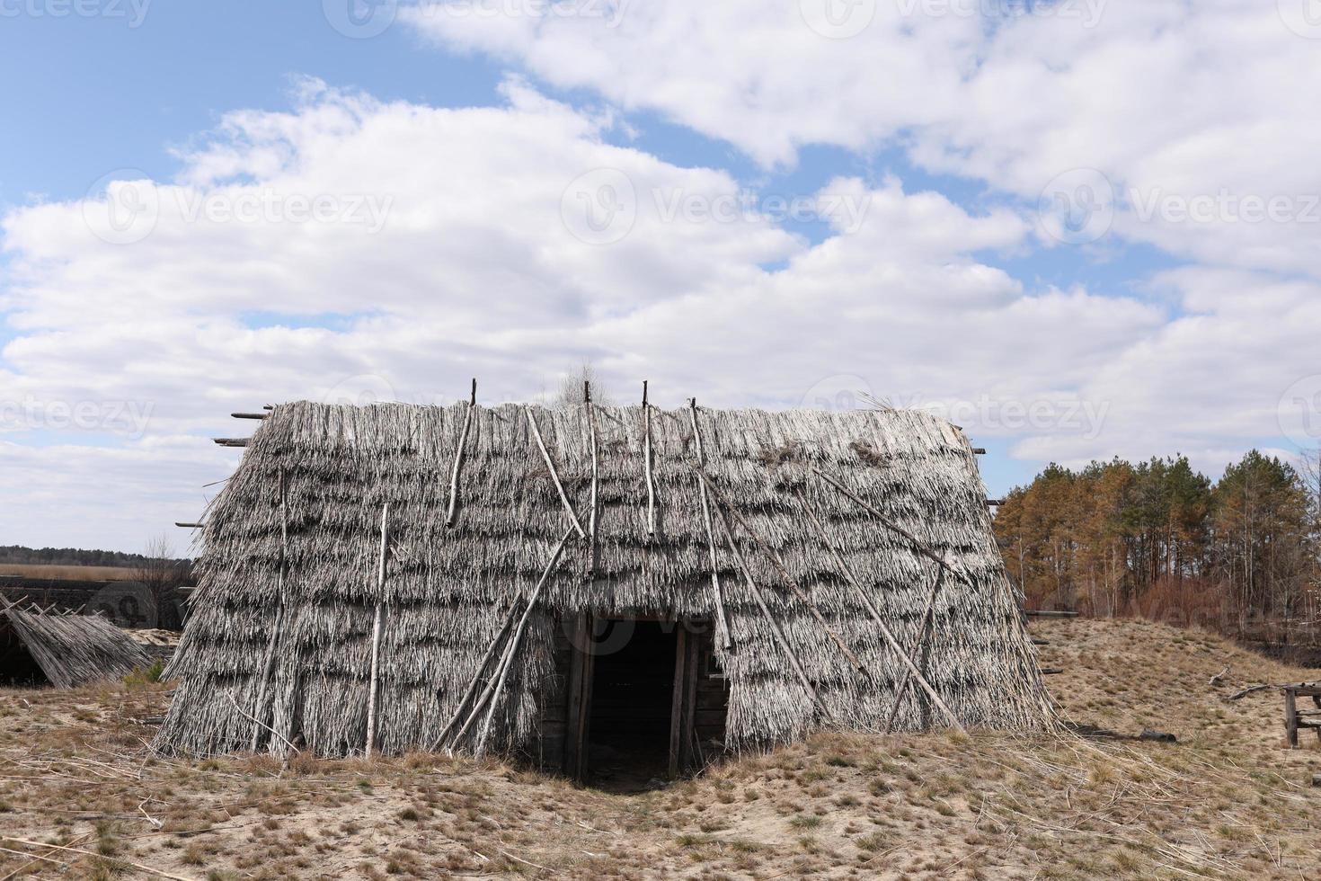 remnants of Ancient houses made from hollow logs with wooden and thatched roofs on the meadow photo