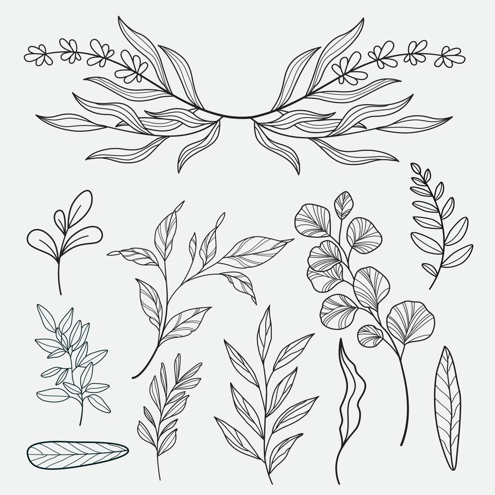 Foliage line art drawing with abstract shape. Abstract Plant Art design for print, cover, wallpaper, Minimal and natural wall art. Vector illustration.