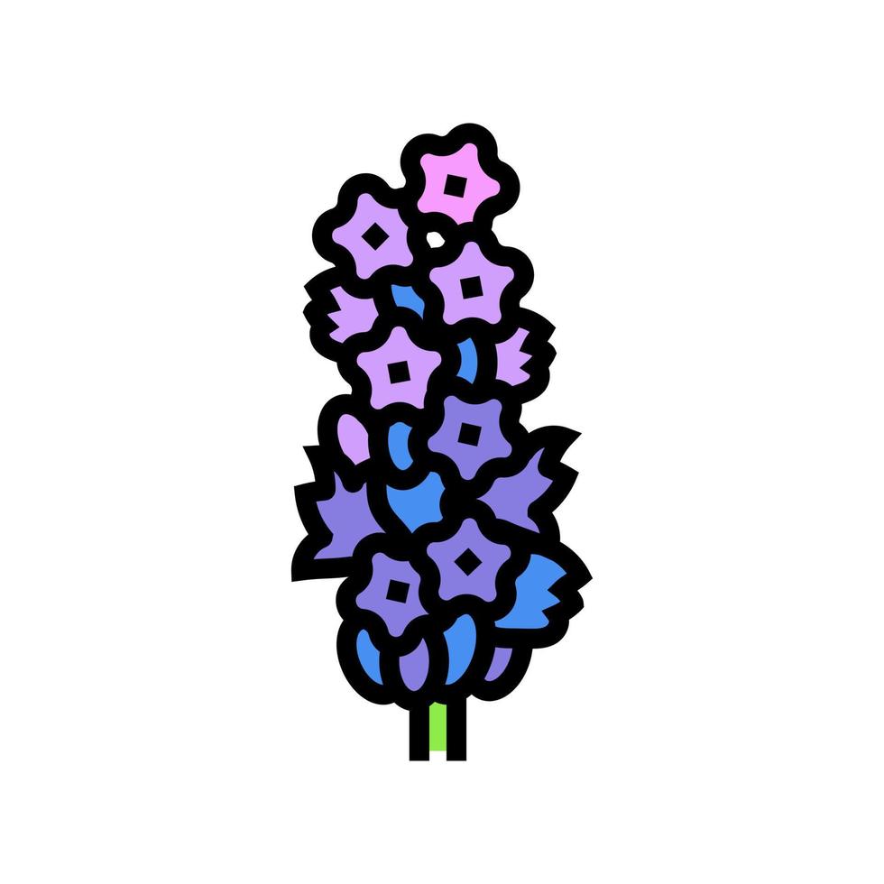 lavanda florecer primavera color icono vector ilustración