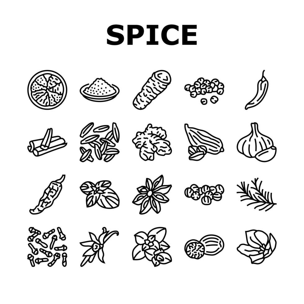 spice food herb leaf icons set vector