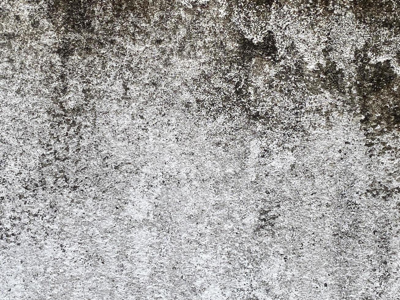 Old concrete wall texture photo