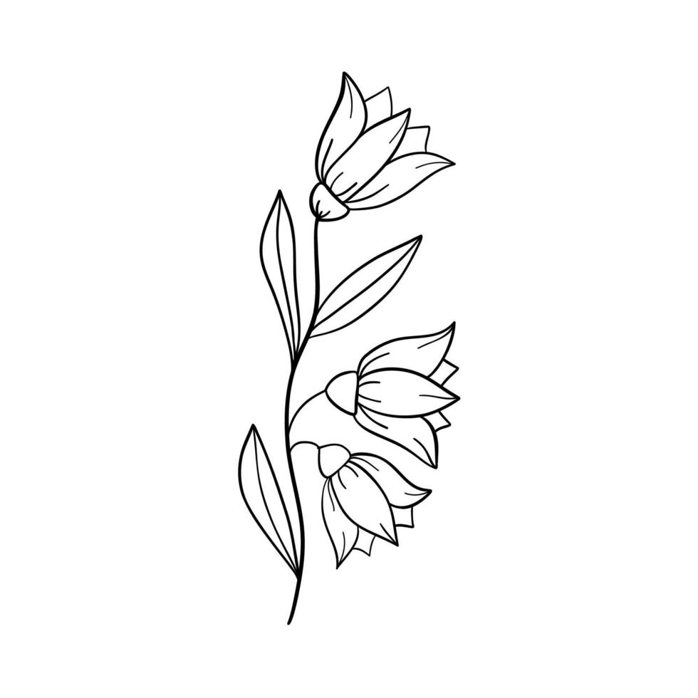flores de campana campánula - mano dibujado vector ilustración de campana flores y brotes en blanco antecedentes. vistoso flores íconos colocar. vector aislado floral elementos.