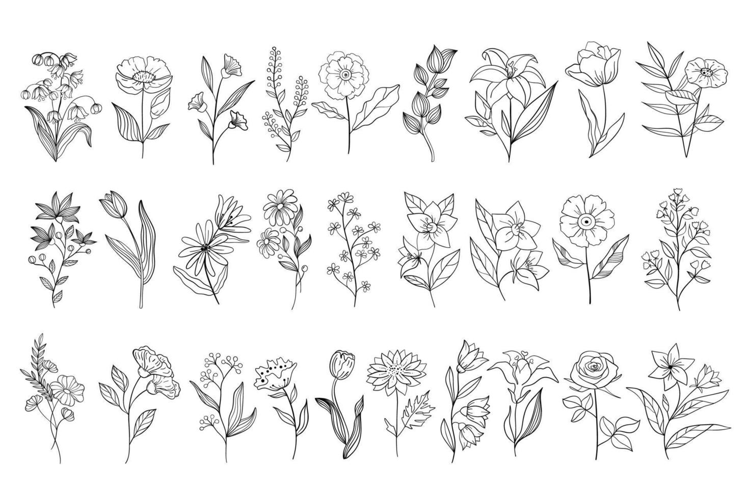 Establecer hierba rizada dibujada a mano y flores sobre fondo blanco aislado. Ilustración botánica. cuadro floral decorativo. vector